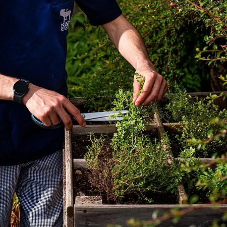 Nikis Üdülőközpont 3*